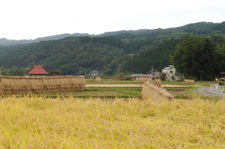 20201013