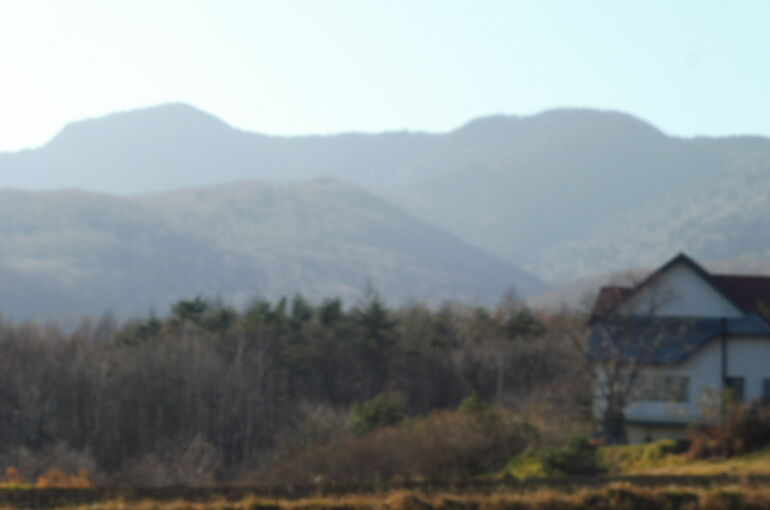 20201229